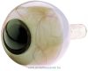 OCULAR OEM-F Fundus Eye Model with Fill Kit